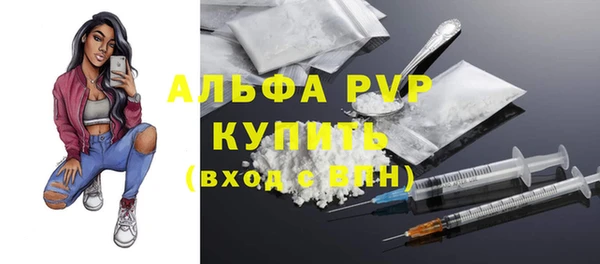 дживик Арсеньев