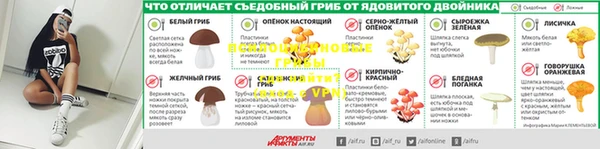 MESCALINE Аркадак