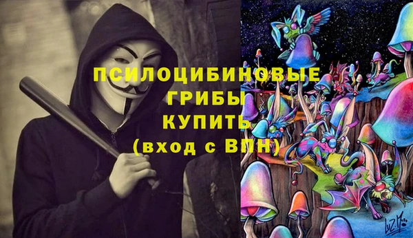 ПСИЛОЦИБИНОВЫЕ ГРИБЫ Ступино
